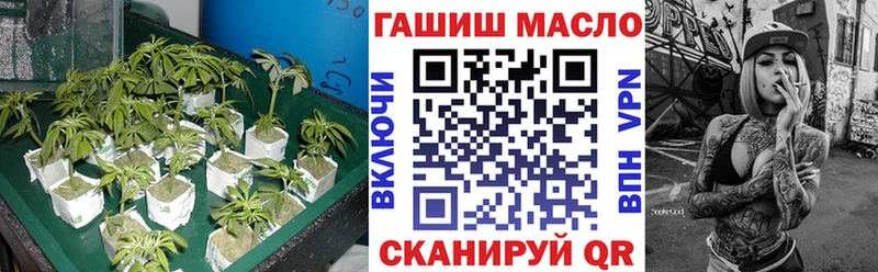 купить закладку  hydra ССЫЛКА  Дистиллят ТГК Wax  Александровское 