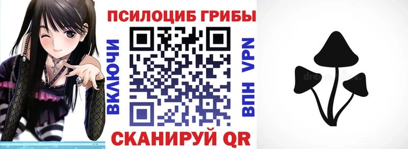 Галлюциногенные грибы Psilocybine cubensis  Александровское 